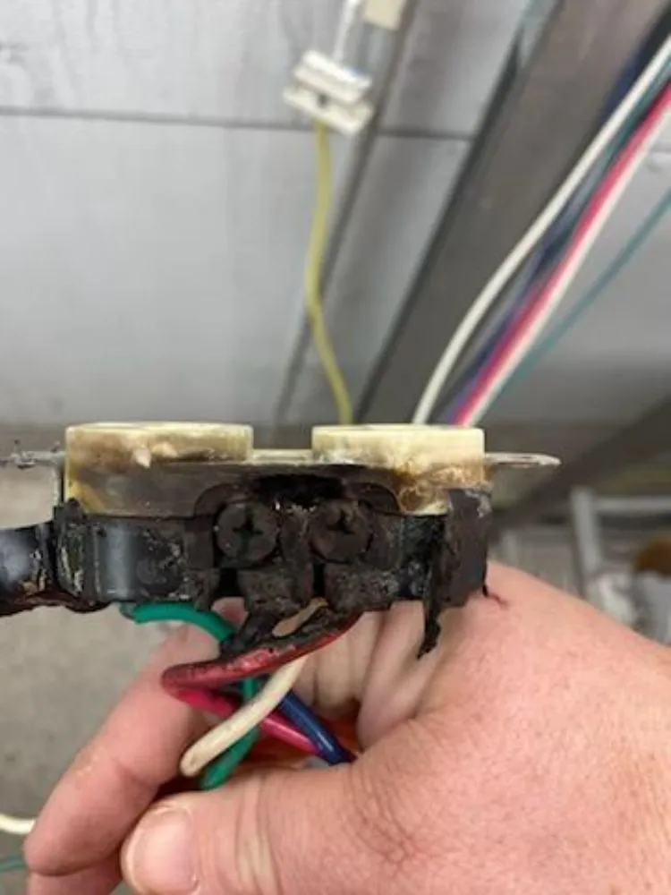 Slide of Roisin Electric