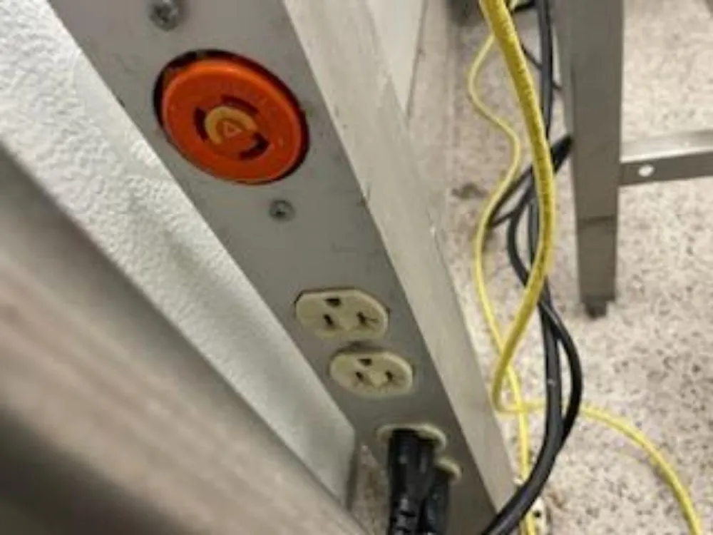 Slide of Roisin Electric