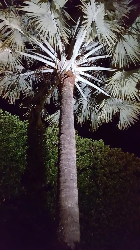 Slide of Roland Electric