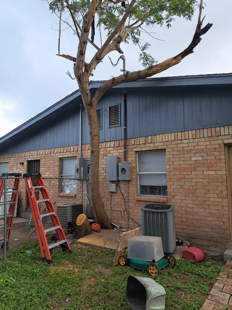 Slide of Roma Multiservice