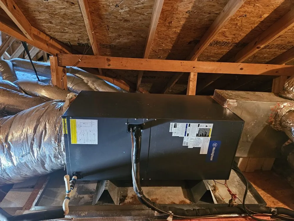 Slide of Romero’s All In One