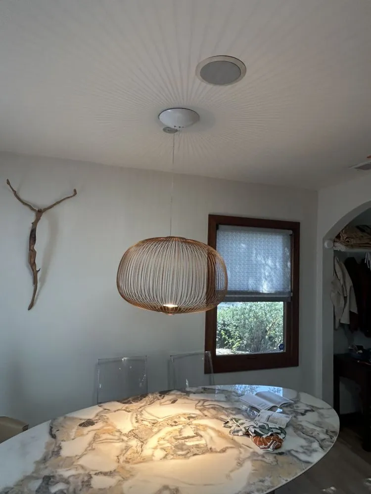 Slide of Ronii's Electric