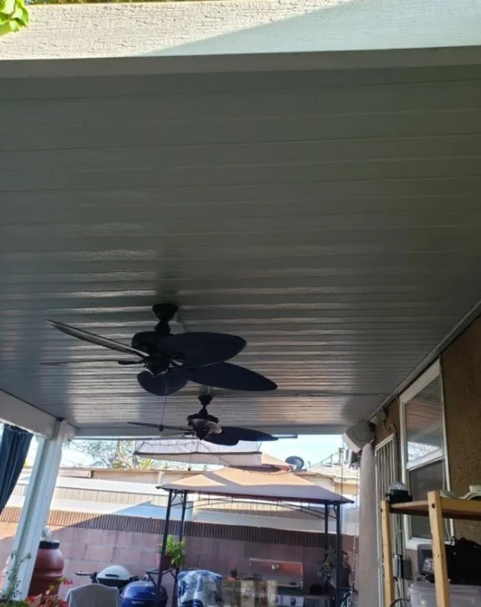 Slide of Ronii's Electric