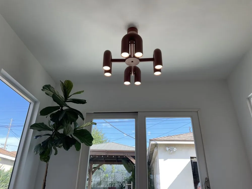 Slide of Ronii's Electric