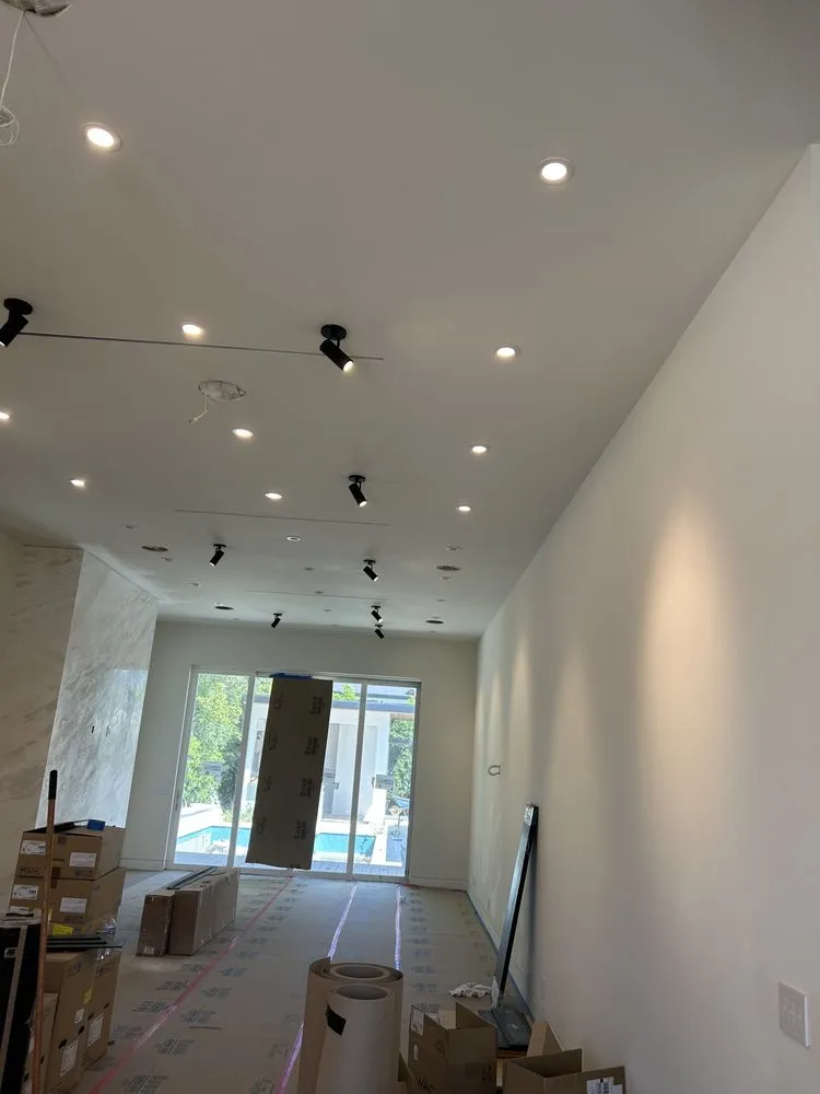 Slide of Ronii's Electric