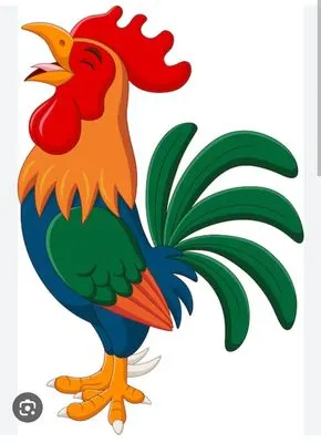 Roosters Hands Work