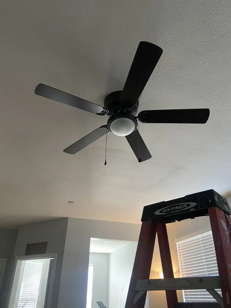 Slide of Rooted Nomad Total Logistics Services