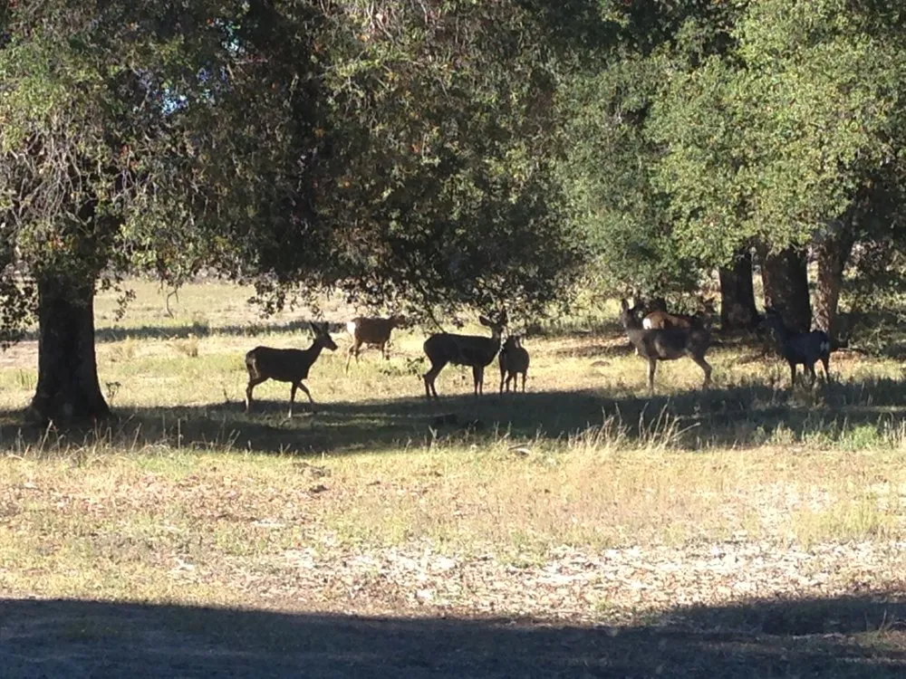 Slide of Rory Higgins Electric