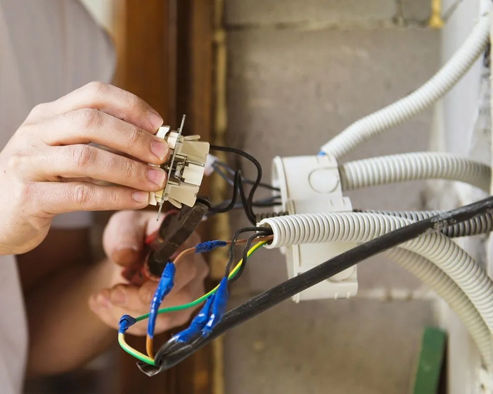 Slide of Rose and Wires