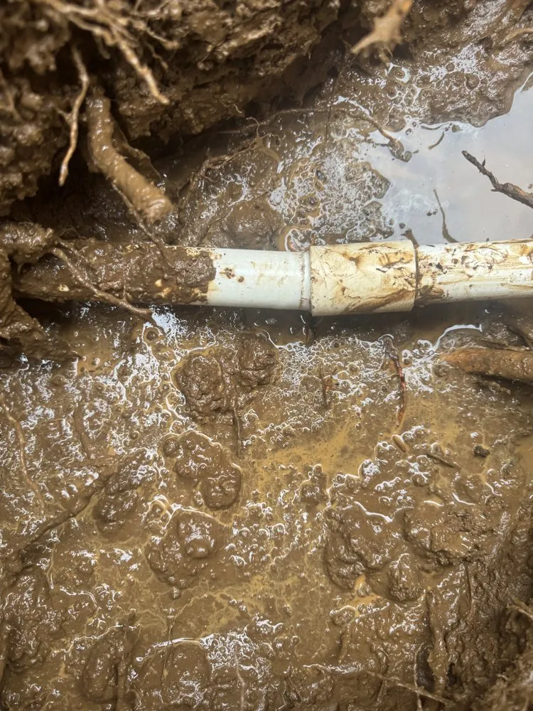 Slide of Rose City Handyman