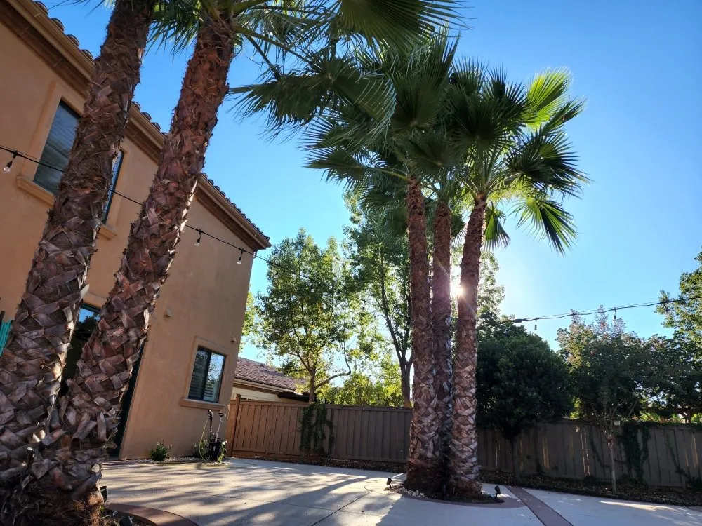 Trusted electrician providing wiring installation in , 