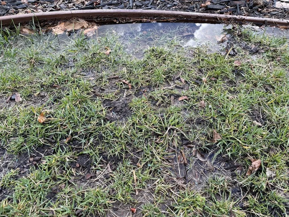 Slide of Roseville Home Services