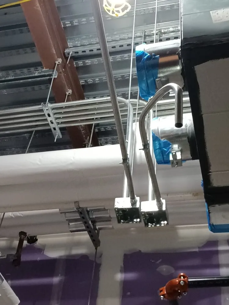 Slide of Roy Electric