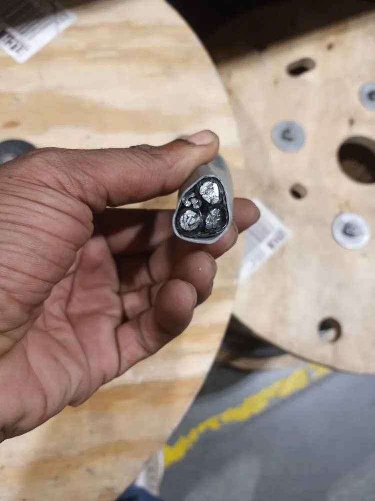 Slide of Royal Electric & Housing