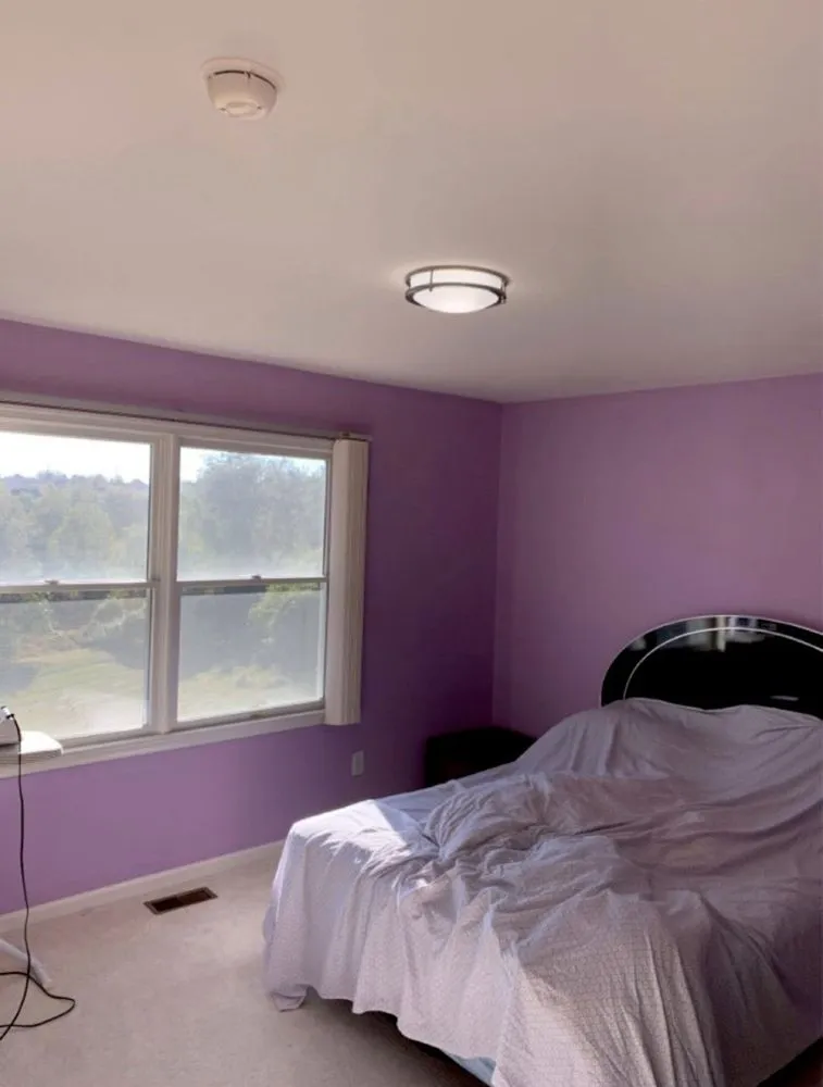 Slide of Royal Electric