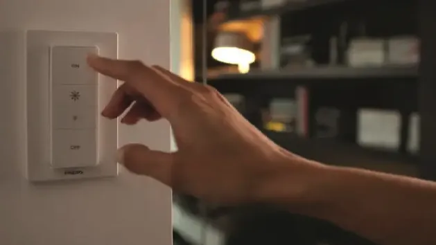 Slide of Royal Kings Electric