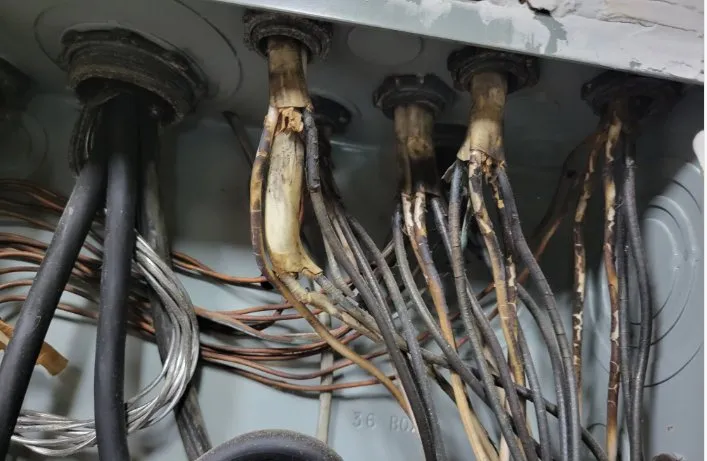 Slide of Royal Kings Electric