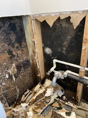 Royal Service Pros Logo