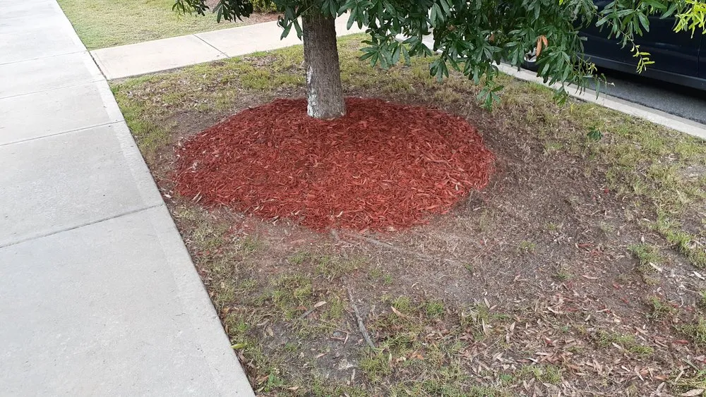 Trusted circuit breaker repair service in ,  - Royal Treatment Home Improvement