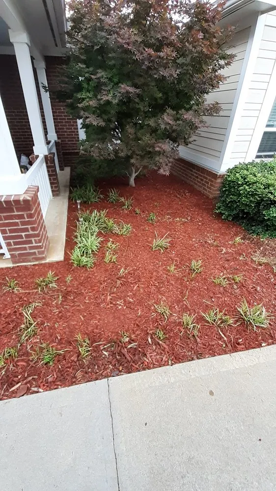 Expert emergency electrical service experts serving ,  - Royal Treatment Home Improvement