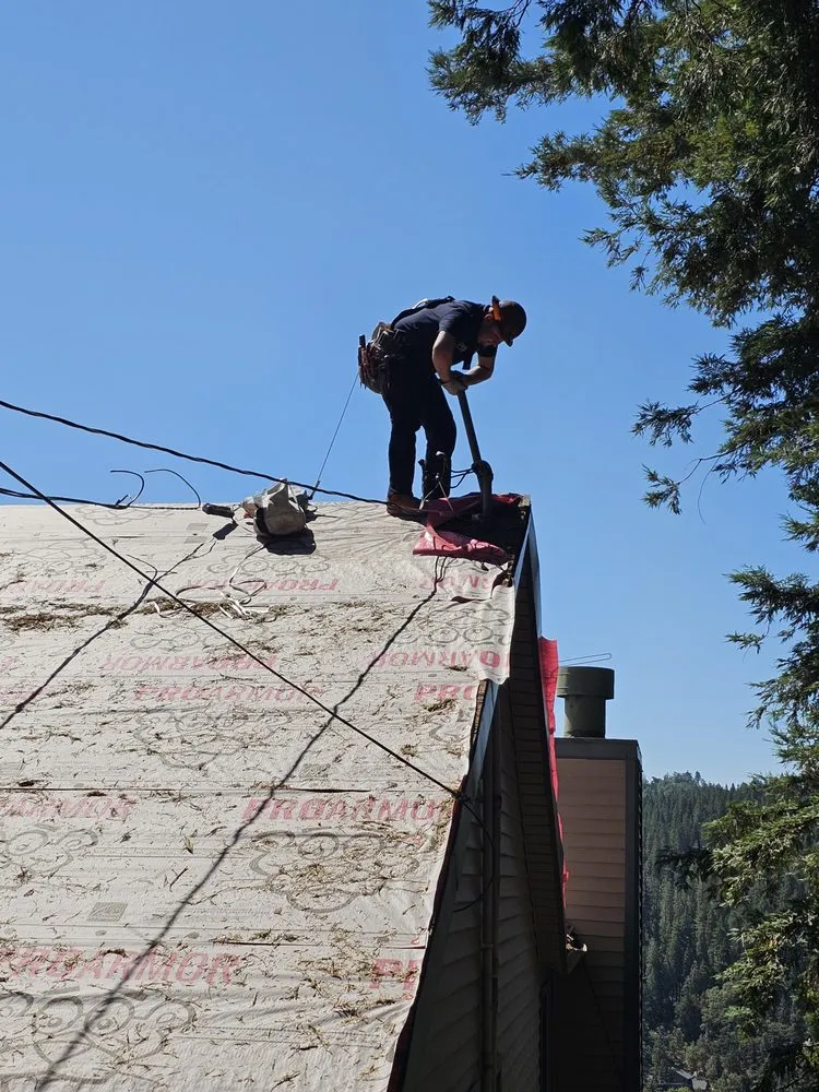 Slide of Royalty Electric