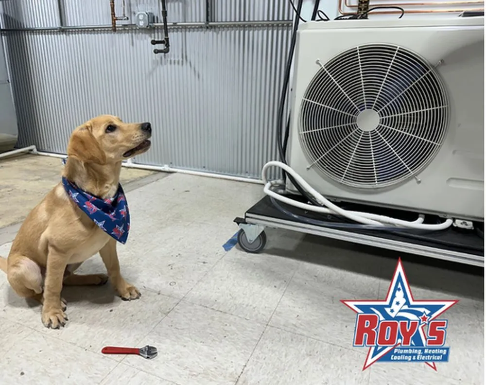 Affordable electrical service for homes in outlet and switch repair,  by 