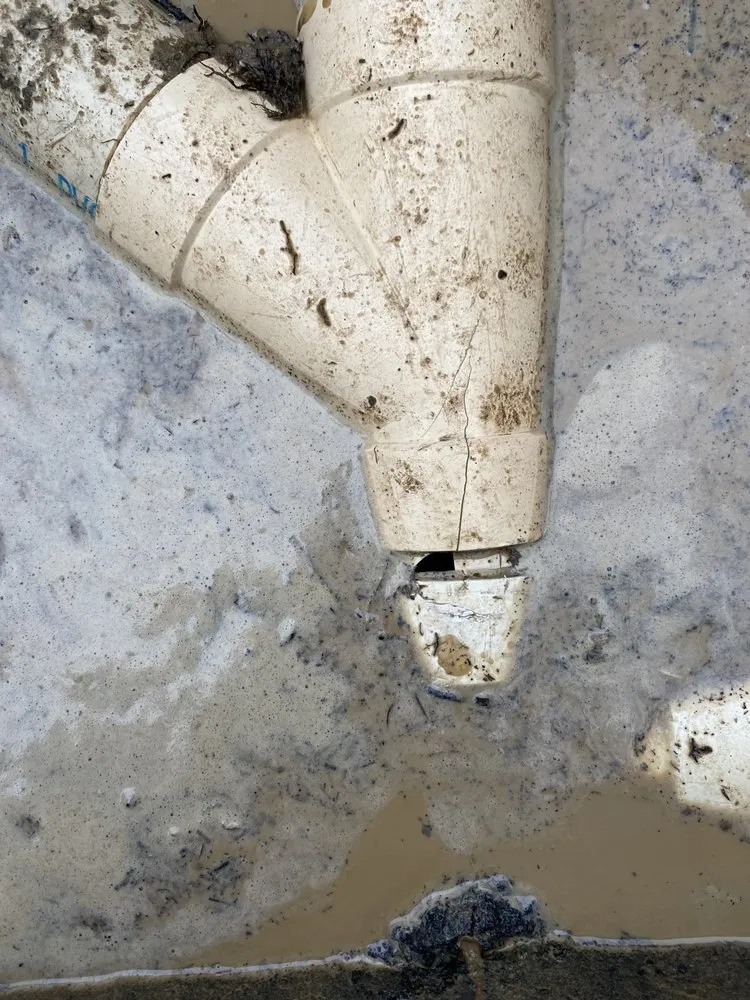 Slide of RT Ray’s Professional Maintenance