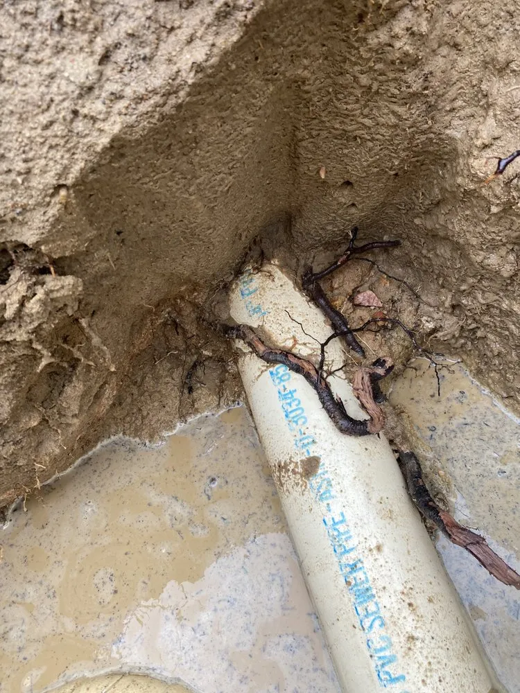 Slide of RT Ray’s Professional Maintenance