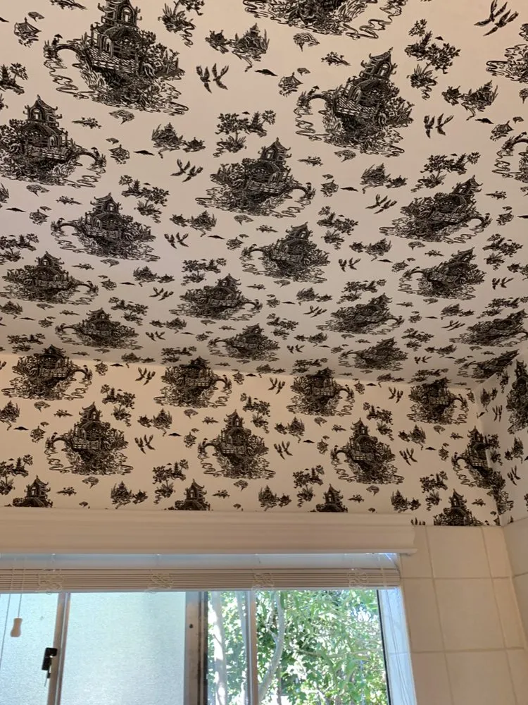 Slide of Ruiz Painting & More