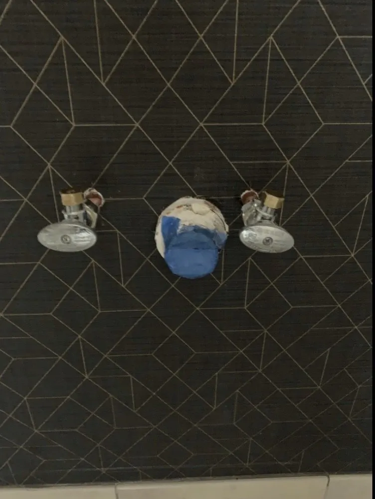 Slide of Ruiz Painting & More