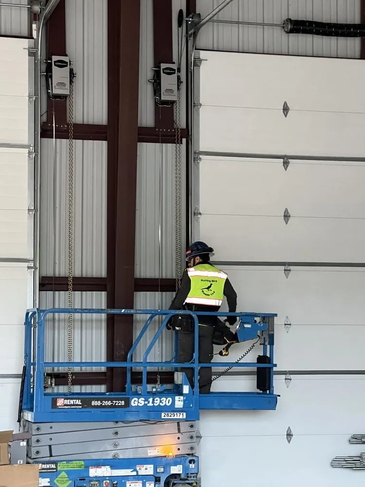 Slide of Running Bird Electric