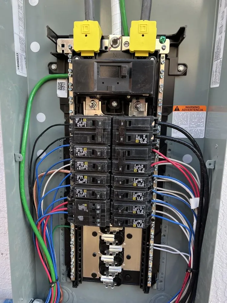 Slide of Running Bird Electric