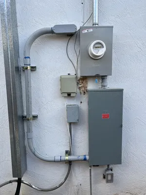 Running Bird Electric Logo