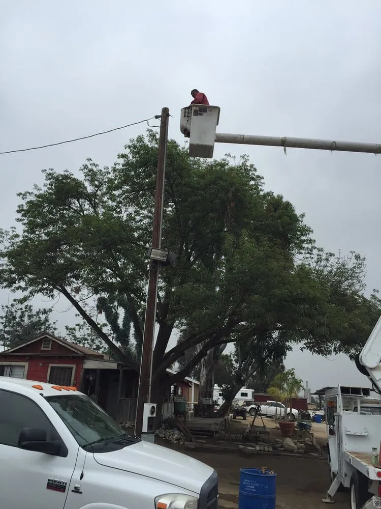 Slide of Rush Electric