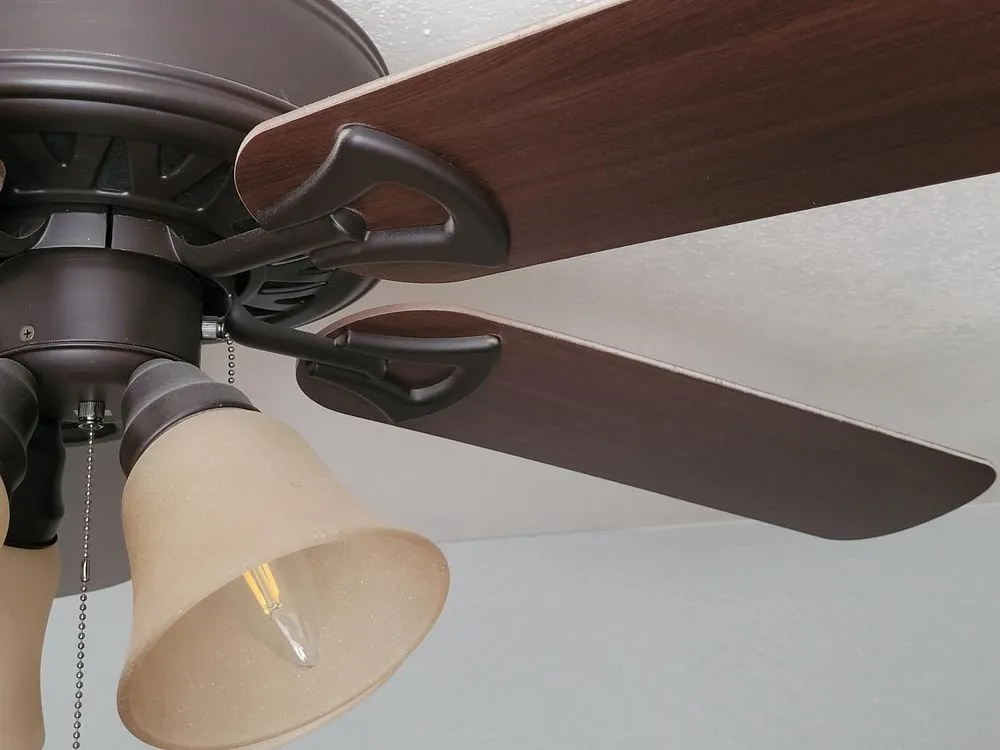 Slide of Rustic Electric