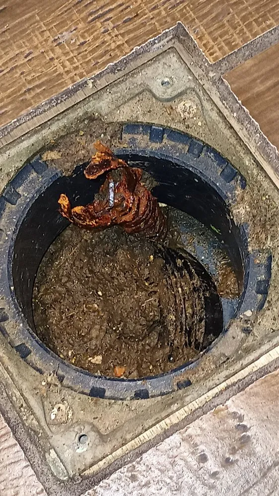 Trusted panel upgrade in ,  by RWS Construction