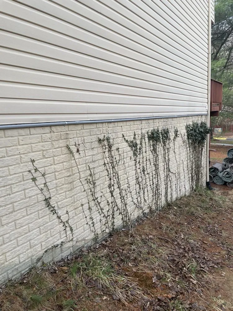 Slide of Ryan Electric