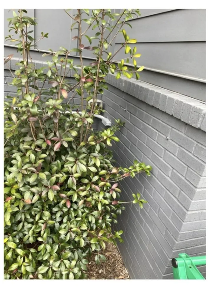 Slide of S & S Electrical Services