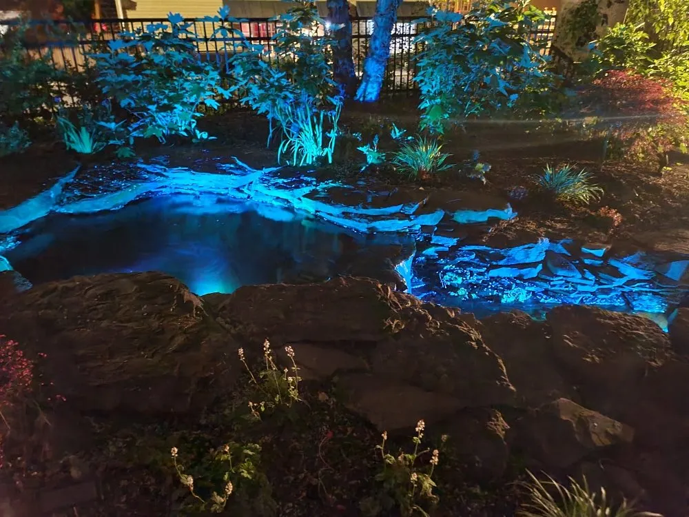 Slide of S C Electric