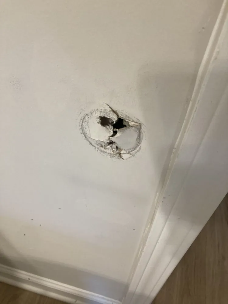 Slide of S O S Property Solutions