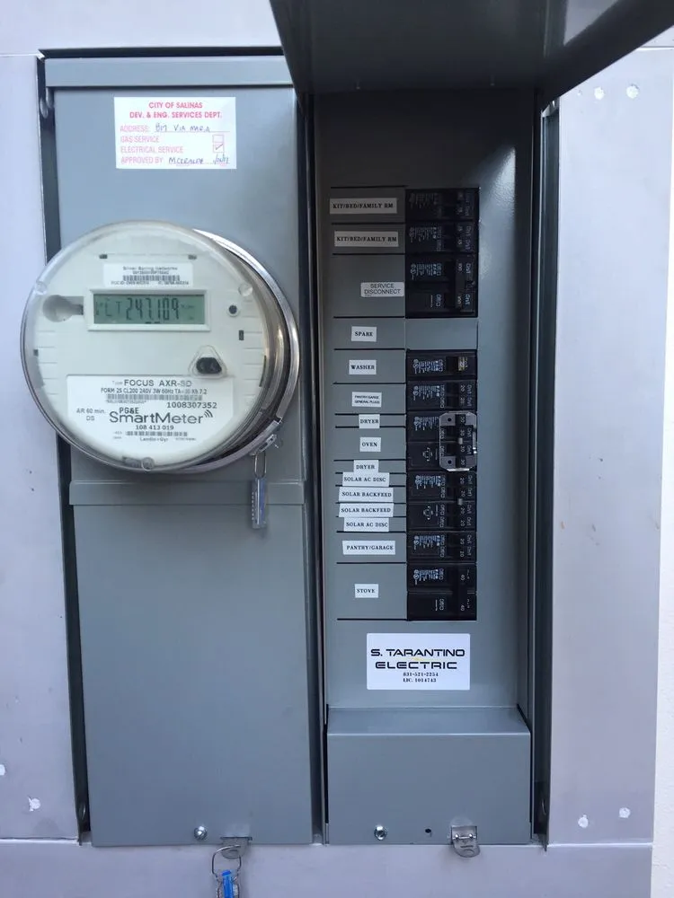 Slide of S Tarantino Electric