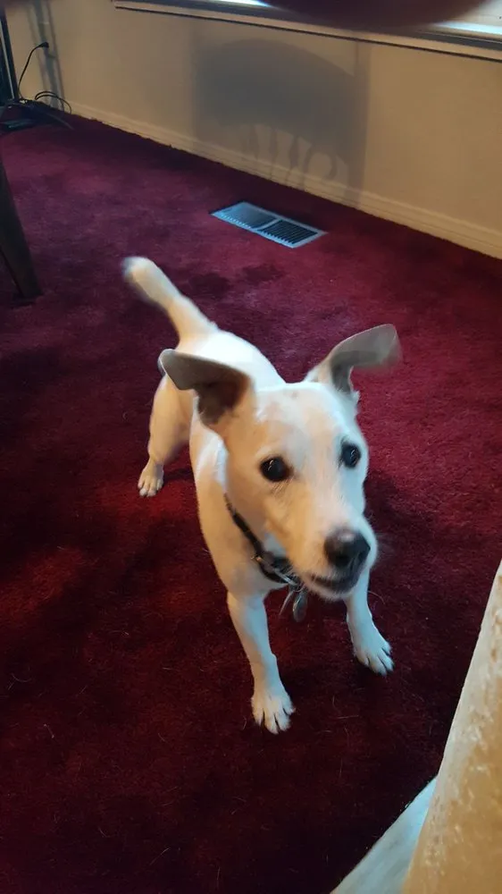 Slide of Sabella Brothers Electric