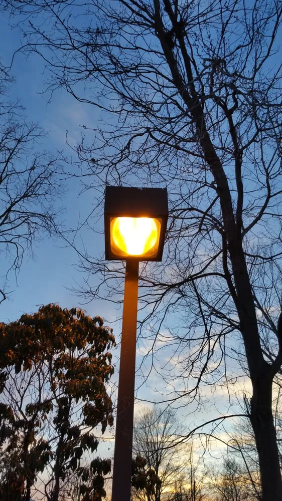 Slide of Sabella Brothers Electric