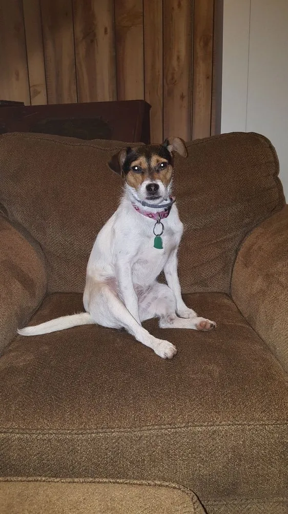 Slide of Sabella Brothers Electric