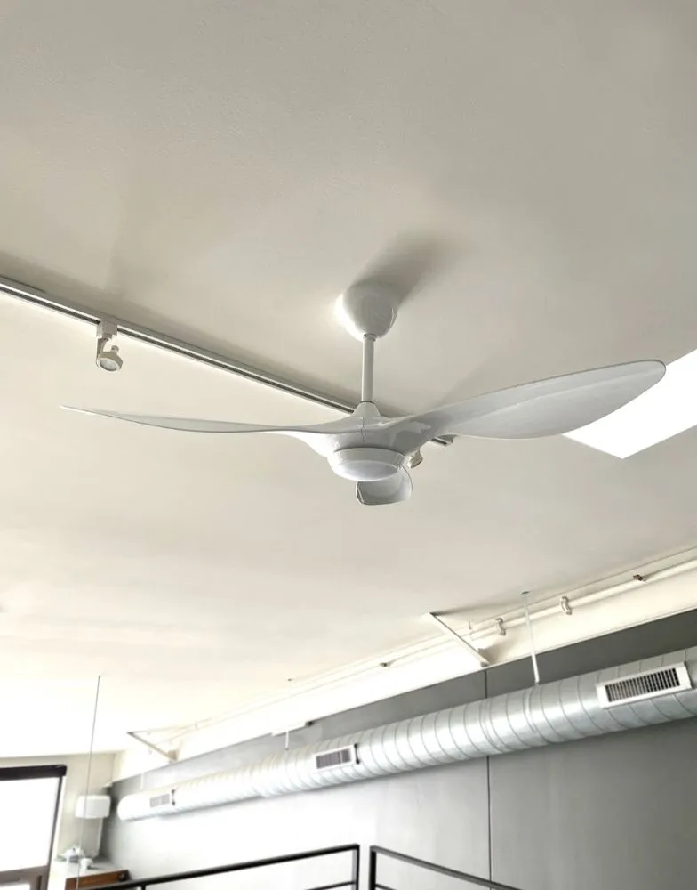 Slide of Sabrius Electric