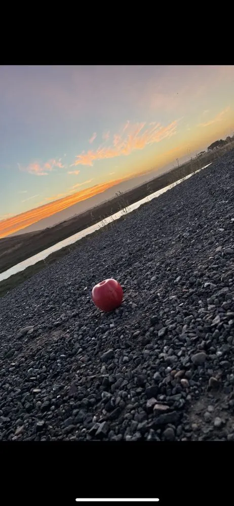 Slide of Safe Electric