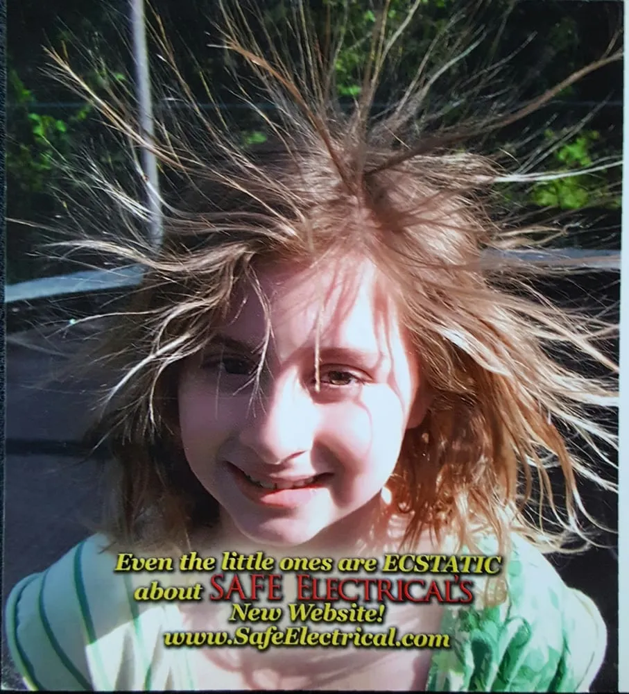 Slide of SAFE Electrical Service