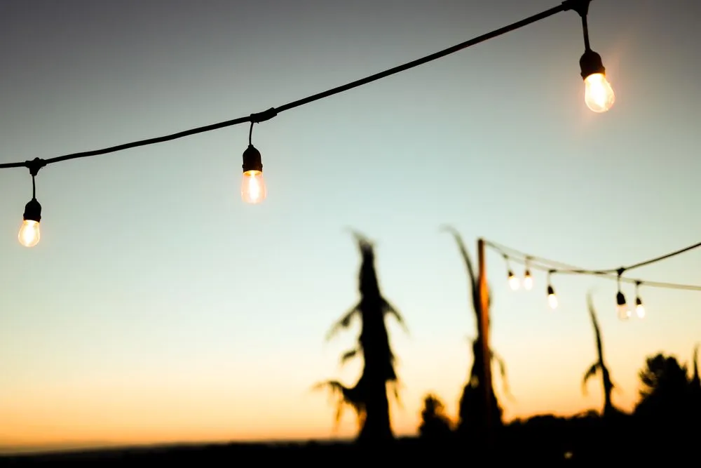 Slide of Sage Electric