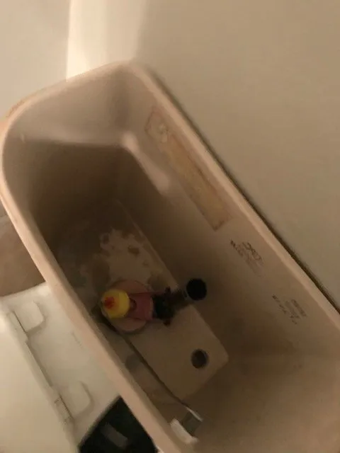 Professional outlet and switch repair in Port St. Lucie, FL by Saint Lucie Home Repairs