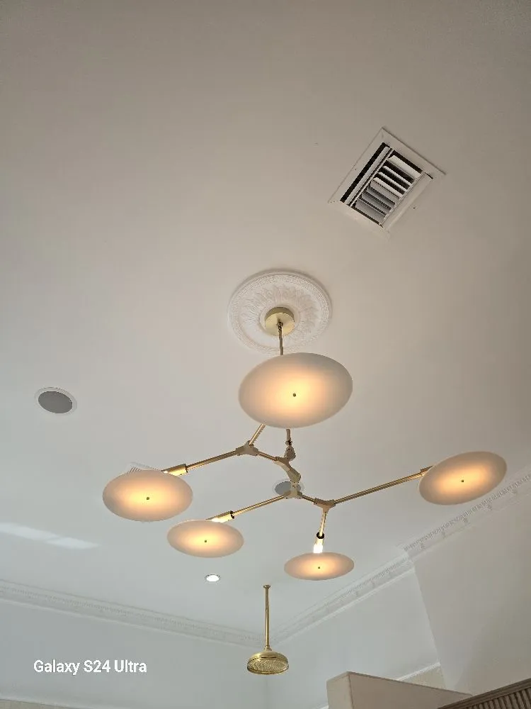 Slide of Saleum Electric